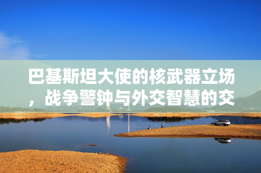 巴基斯坦大使的核武器立场，战争警钟与外交智慧的交织
