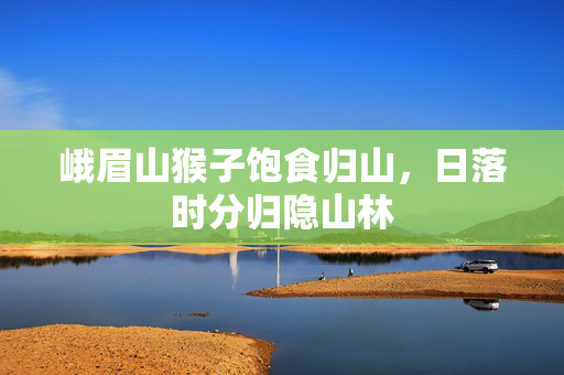 峨眉山猴子饱食归山，日落时分归隐山林