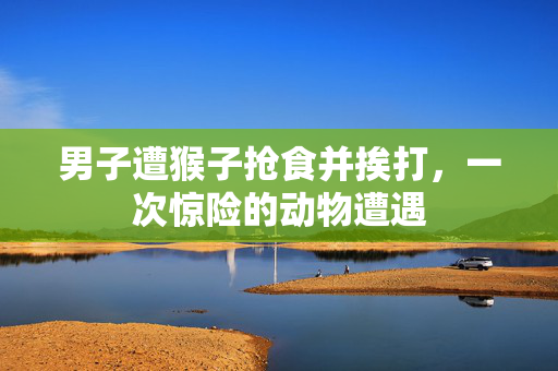 男子遭猴子抢食并挨打，一次惊险的动物遭遇