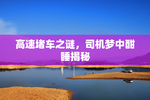 高速堵车之谜，司机梦中酣睡揭秘