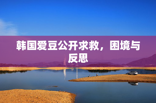 韩国爱豆公开求救，困境与反思