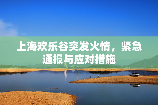 上海欢乐谷突发火情，紧急通报与应对措施