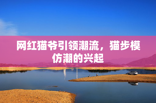 网红猫爷引领潮流，猫步模仿潮的兴起
