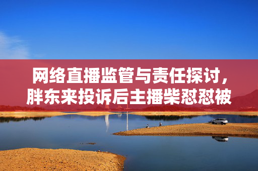网络直播监管与责任探讨，胖东来投诉后主播柴怼怼被封号事件