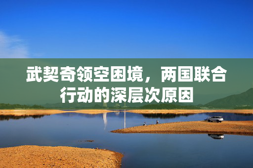 武契奇领空困境，两国联合行动的深层次原因