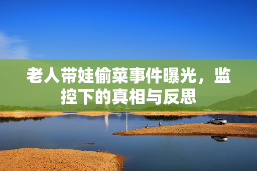 老人带娃偷菜事件曝光，监控下的真相与反思