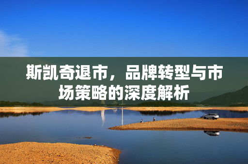 斯凯奇退市，品牌转型与市场策略的深度解析