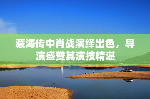 藏海传中肖战演绎出色，导演盛赞其演技精湛