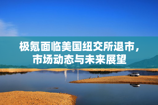 极氪面临美国纽交所退市，市场动态与未来展望
