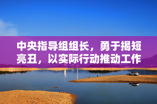 中央指导组组长，勇于揭短亮丑，以实际行动推动工作进步
