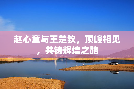 赵心童与王楚钦，顶峰相见，共铸辉煌之路
