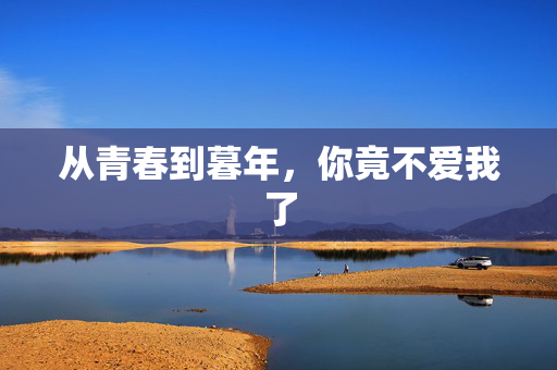 从青春到暮年，你竟不爱我了