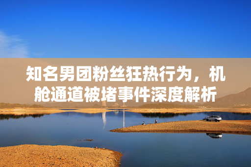 知名男团粉丝狂热行为，机舱通道被堵事件深度解析