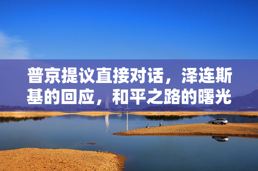 普京提议直接对话，泽连斯基的回应，和平之路的曙光
