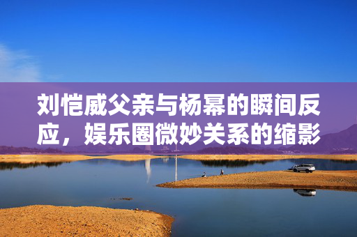 刘恺威父亲与杨幂的瞬间反应，娱乐圈微妙关系的缩影