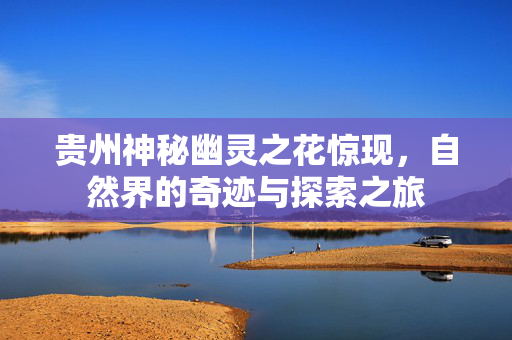 贵州神秘幽灵之花惊现，自然界的奇迹与探索之旅