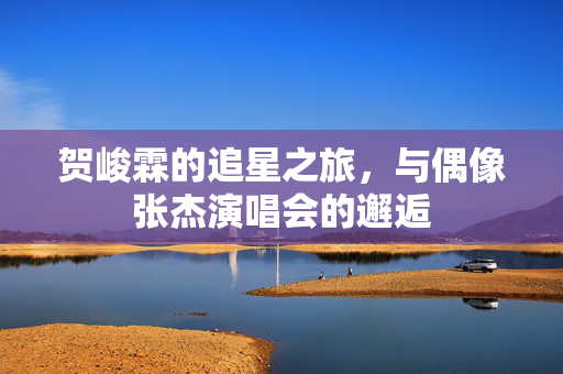 贺峻霖的追星之旅，与偶像张杰演唱会的邂逅