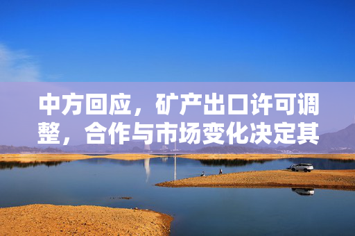 中方回应，矿产出口许可调整，合作与市场变化决定其取舍
