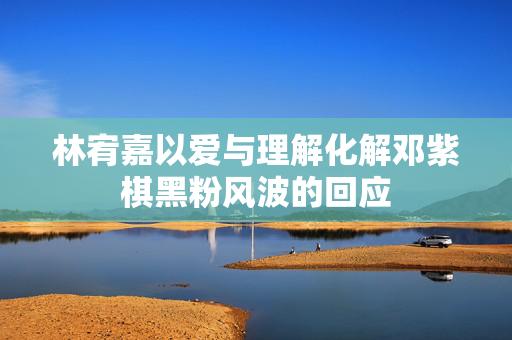 林宥嘉以爱与理解化解邓紫棋黑粉风波的回应