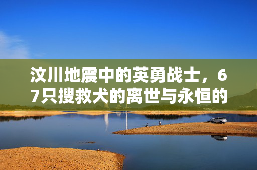 汶川地震中的英勇战士，67只搜救犬的离世与永恒的奉献