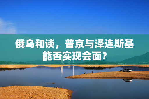 俄乌和谈，普京与泽连斯基能否实现会面？