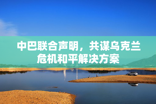 中巴联合声明，共谋乌克兰危机和平解决方案