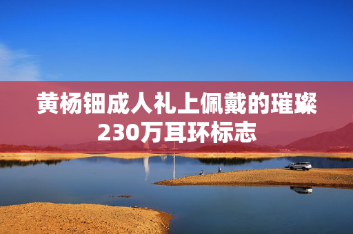 黄杨钿成人礼上佩戴的璀璨230万耳环标志