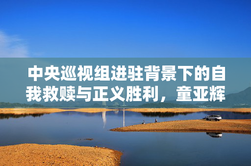 中央巡视组进驻背景下的自我救赎与正义胜利，童亚辉主动投案的启示