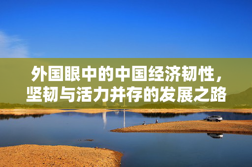 外国眼中的中国经济韧性，坚韧与活力并存的发展之路