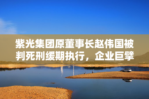 紫光集团原董事长赵伟国被判死刑缓期执行，企业巨擘的沉沦与反思