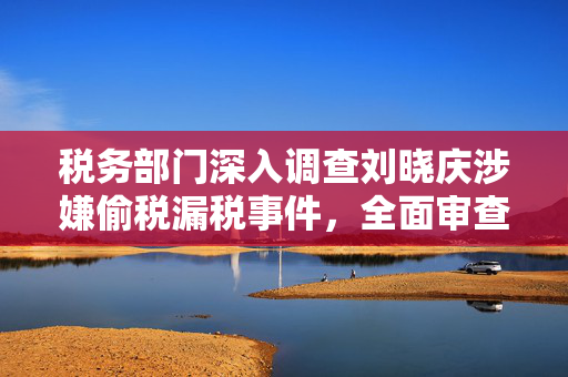 税务部门深入调查刘晓庆涉嫌偷税漏税事件，全面审查与追责的背后