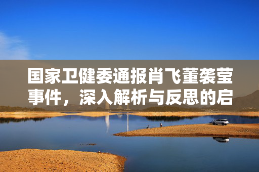 国家卫健委通报肖飞董袭莹事件，深入解析与反思的启示