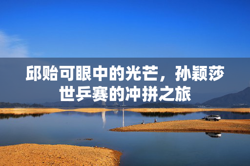 邱贻可眼中的光芒，孙颖莎世乒赛的冲拼之旅