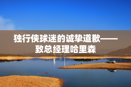 独行侠球迷的诚挚道歉——致总经理哈里森