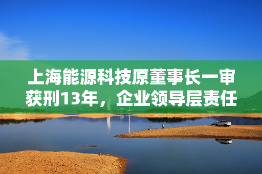 上海能源科技原董事长一审获刑13年，企业领导层责任与法律制裁的深度探讨