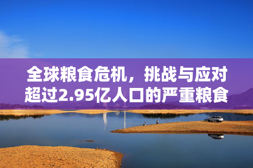 全球粮食危机，挑战与应对超过2.95亿人口的严重粮食不安全