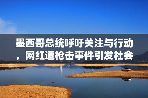 墨西哥总统呼吁关注与行动，网红遭枪击事件引发社会关注
