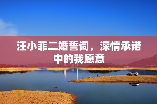 汪小菲二婚誓词，深情承诺中的我愿意