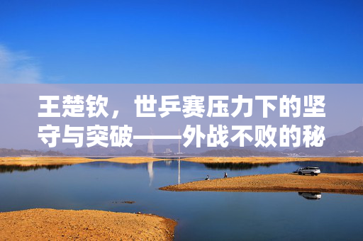 王楚钦，世乒赛压力下的坚守与突破——外战不败的秘诀