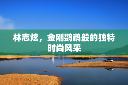 林志炫，金刚鹦鹉般的独特时尚风采