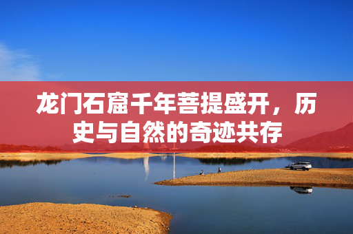 龙门石窟千年菩提盛开，历史与自然的奇迹共存