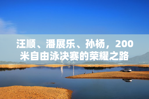 汪顺、潘展乐、孙杨，200米自由泳决赛的荣耀之路