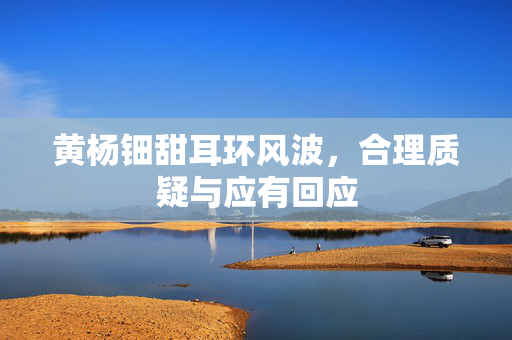 黄杨钿甜耳环风波，合理质疑与应有回应