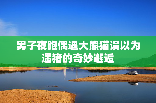 男子夜跑偶遇大熊猫误以为遇猪的奇妙邂逅