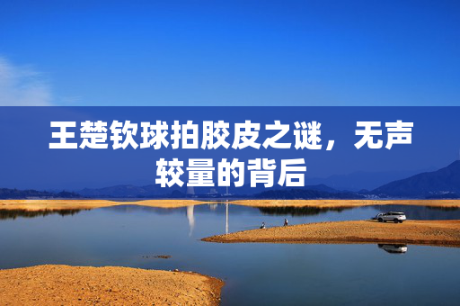 王楚钦球拍胶皮之谜，无声较量的背后