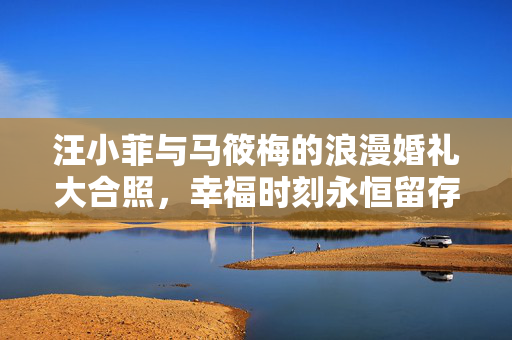 汪小菲与马筱梅的浪漫婚礼大合照，幸福时刻永恒留存
