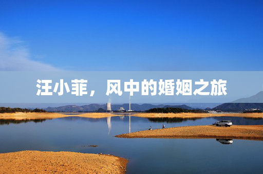 汪小菲，风中的婚姻之旅