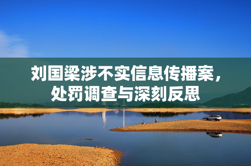 刘国梁涉不实信息传播案，处罚调查与深刻反思