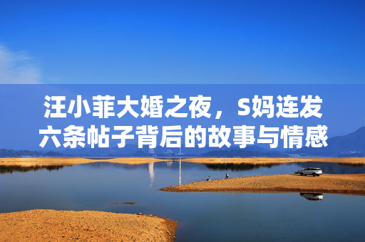 汪小菲大婚之夜，S妈连发六条帖子背后的故事与情感