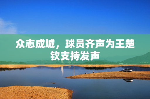 众志成城，球员齐声为王楚钦支持发声